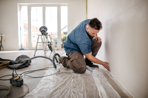 Best Drywall Removal and Disposal  in Springfield, MI