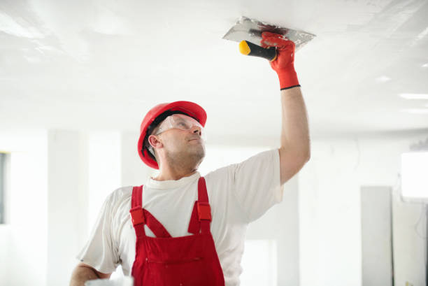 Best Ceiling Drywall Installation  in Springfield, MI